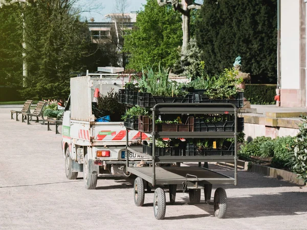 Camioneta jardinero en parque flores deportivas — Foto de Stock