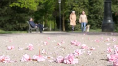 Çift ayaklı köpek parkı