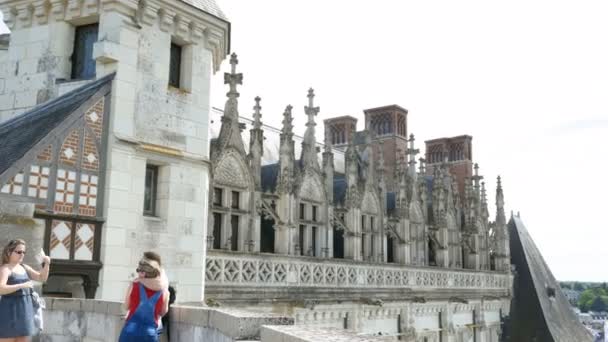 法国安博依斯城堡的屋顶拍照片 — 图库视频影像