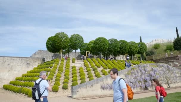 Amboise França Circa 2017 Pessoas Que Visitam Majestosos Jardins Amboise — Vídeo de Stock