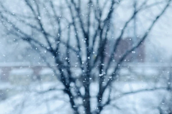 Ralenti neige chute avec arbre arrière-plan ville bokeh — Photo