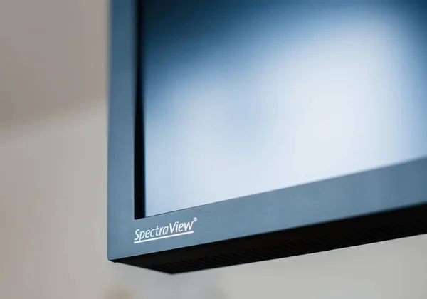 Logotipo Nec Spectraview sul monitor di fascia alta — Foto Stock