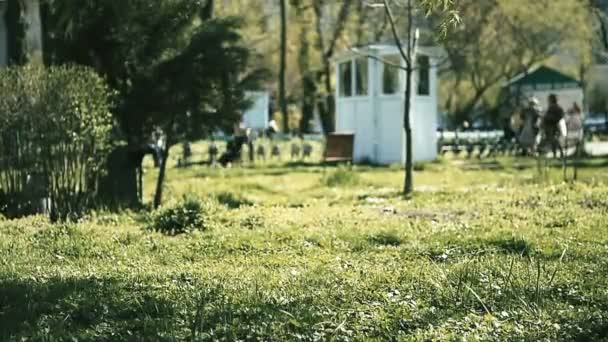 Pessoas visitando parque — Vídeo de Stock