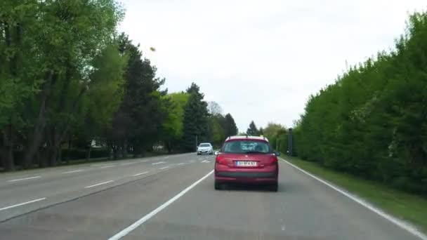 Carros Estrada Rua Com Árvores Verdes Durante Dia — Vídeo de Stock