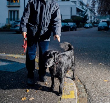 Gece karanlığında şehirde poz köpekli adam 