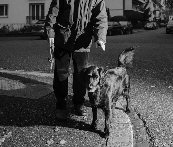 Man with dog posing at dusk in city — Stock Photo, Image