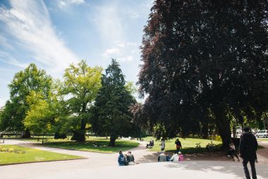 etail sarayın görkemli Palais du Rihn Ren fo