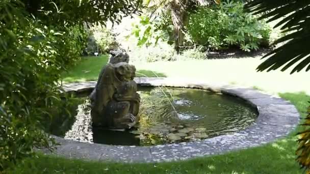 Fonte Parque Ensolarado Oxford — Vídeo de Stock