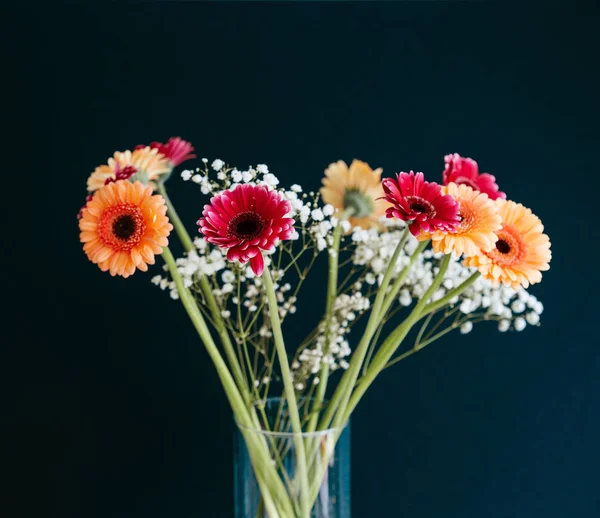 Hermoso ramo de flores Gerbera en jarrón de vidrio contra gris —  Fotos de Stock