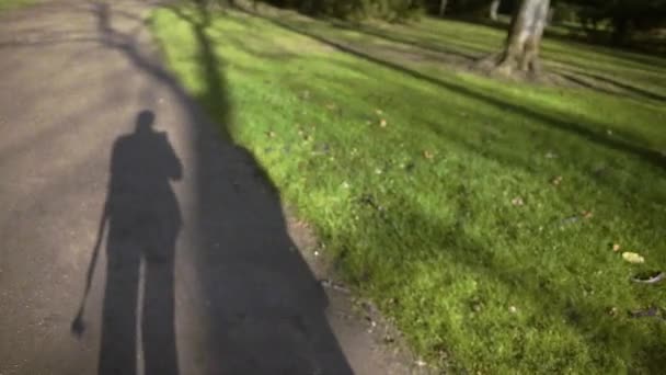 Schatten eines Paares, das im Park spaziert — Stockvideo