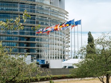 Gün batımında sallayarak Avrupa Parlamentosu bayrakları