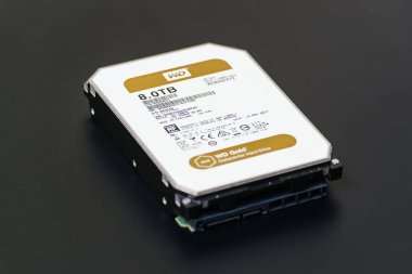 Western Digital 8 tb sabit disk sürücüsü 