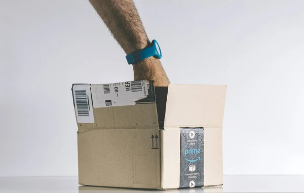 Человек ищет внутри Amazon Prime box — стоковое фото