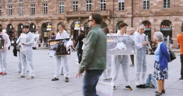 Strasbourg Francia Sep 2017 Activistas Asociación L214 Explican Los Peatones — Vídeos de Stock