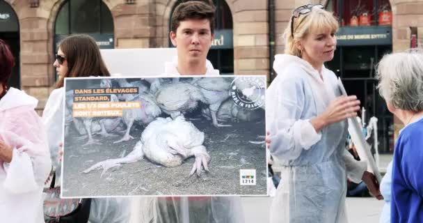 Strasbourg France Sep 2017 Activists L214 Association Cexplaining Pedestrians French — Stock Video