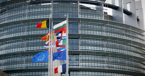 Banderas a media asta frente al Parlamento Europeo — Vídeos de Stock