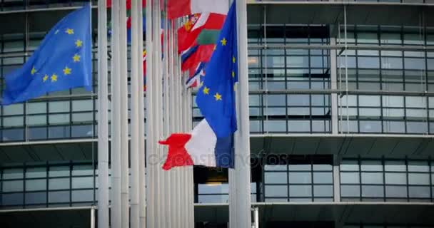 Vlaggen op halfstok voor het EuropeesParlement — Stockvideo