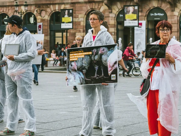 Personas que protestan contra la industria de la carne de pollo — Foto de Stock