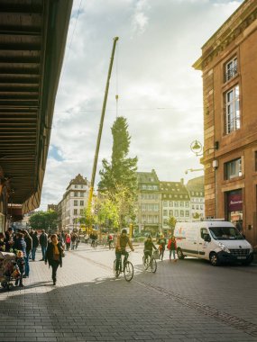 Merkezi Noel ağacı yüklemek Place Kleber sunflare içinde