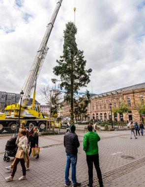 Place Kleber kurulumda Merkezi Noel ağacı