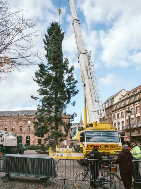Place Kleber kurulumda Merkezi Noel ağacı