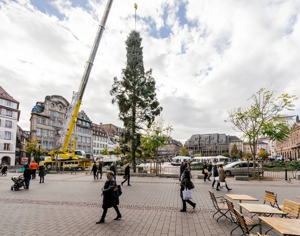 Centrale kerstboom installeren in Place Kleber — Stockfoto
