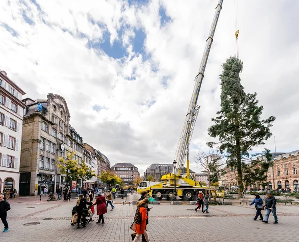 Zentraler Weihnachtsbaum aufgestellt — Stockfoto