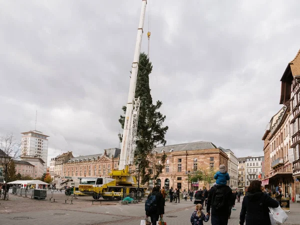 Instalacja centralnego choinki w Place Kleber — Zdjęcie stockowe