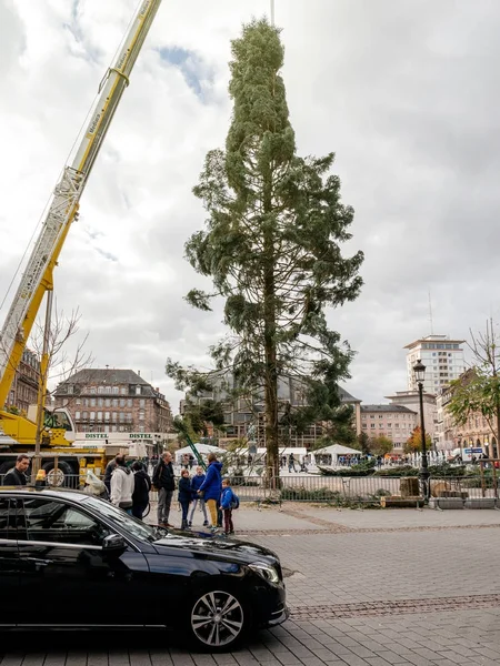 Vánoční stromeček centrální instalace v Place Kleber s taxi černé u — Stock fotografie