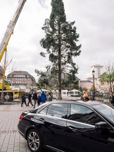 Zentraler Weihnachtsbaum mit schwarzem Taxi aufgestellt — Stockfoto