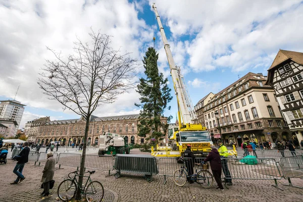 Zentraler Weihnachtsbaum aufgestellt — Stockfoto