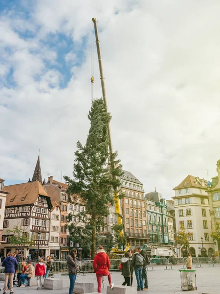 Centrale kerstboom installeren in Place Kleber door crane — Stockfoto