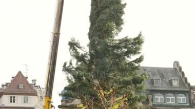  Noel ağacı yüklemek hayran insanlar