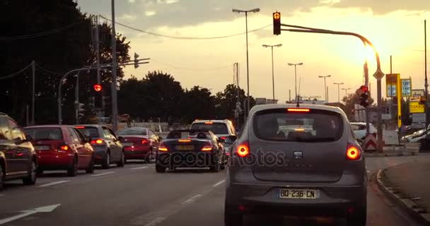 緑の木々 を背景に市の道路で車 — ストック動画