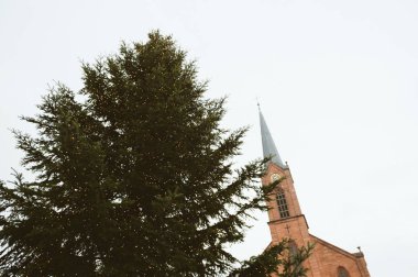 Sarı aydınlatma ve Friedenskir ile görkemli Noel ağacı