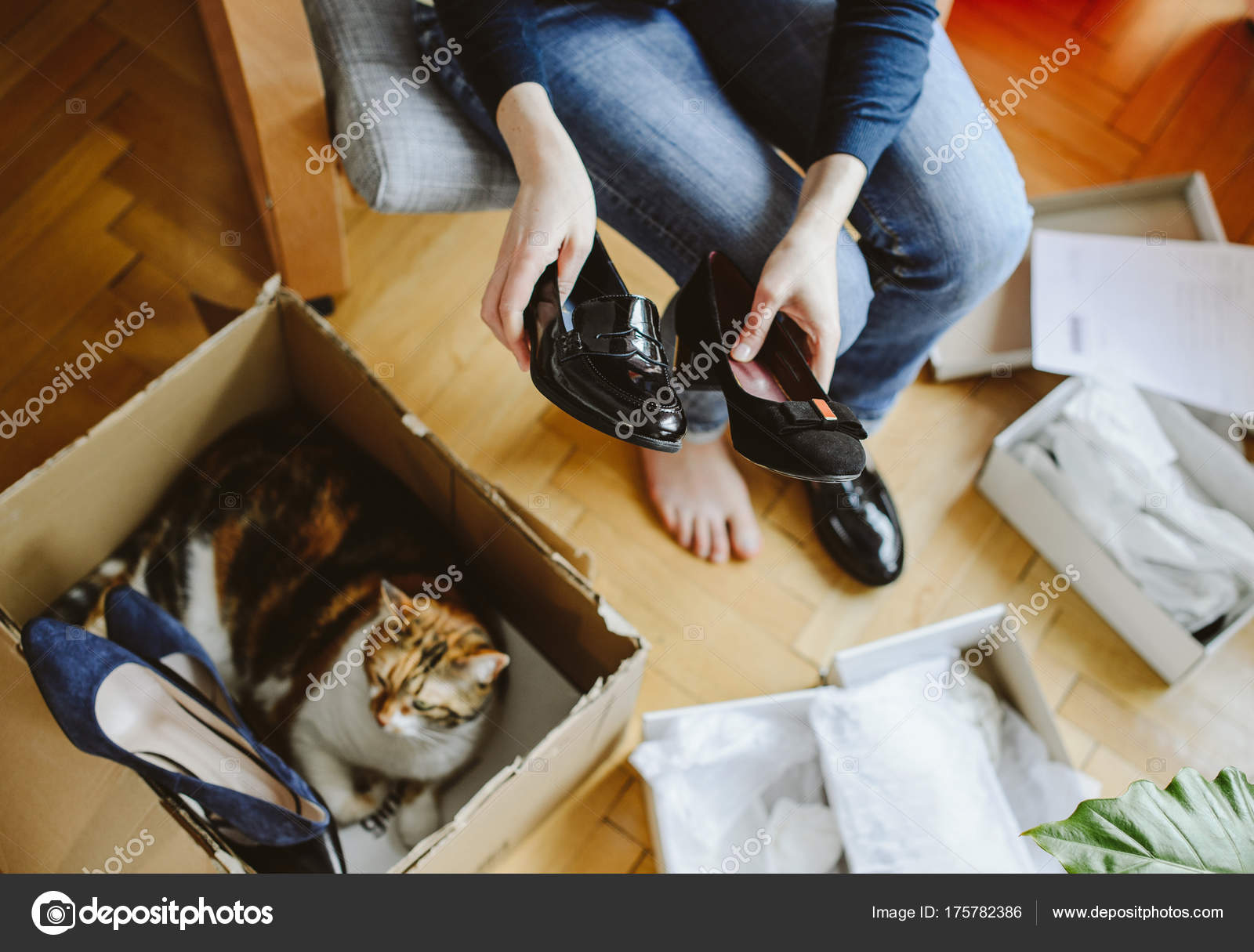 Cat online shoes cheap