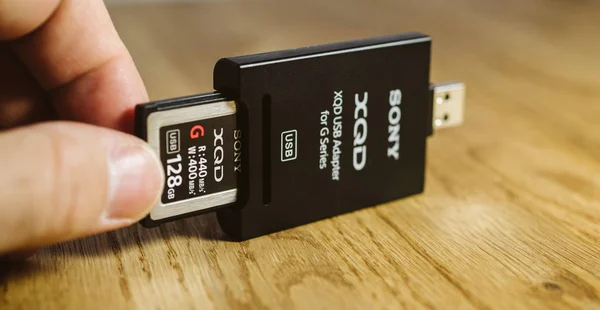 Чоловік тримає нові карти пам'яті Xqd від Sony кард-рідер — стокове фото
