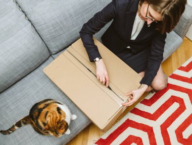 Yukarıdan oturma odası görünümünü tarafından evde beslenen hayvan kedi yardım ediliyor kadın/açma unboxing karton kutu kutu yan güzel hayvan 