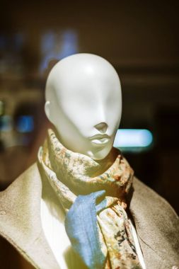 En son moda trendleri sunulması güzel lüks doğal sil eşarp ve kış palto giyiyor zarif vitrin mankeni