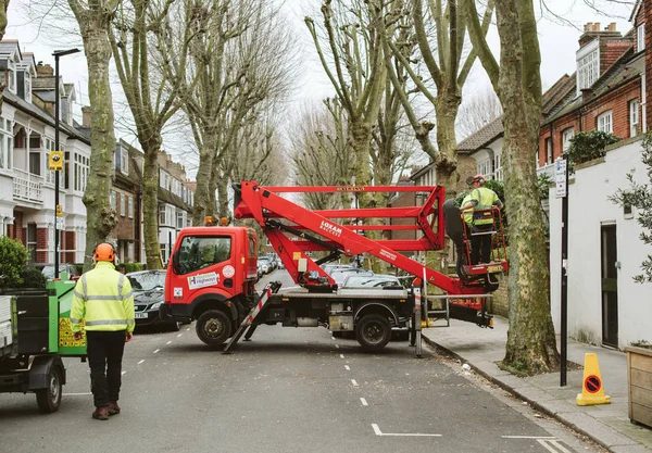 London Wielka Brytania Marca 2017 Zespół Czyszczenia Obcinanie Drzew Ulicy — Zdjęcie stockowe