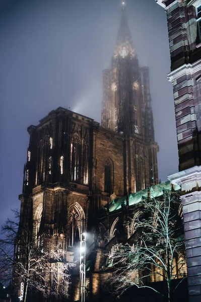 Notre Dame-katedralen i Strasbourg, i skymningen — Stockfoto