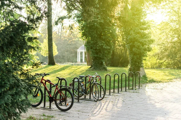 Bicycle parking in French park of Orangerie in Strasbourg — Stock Photo, Image