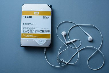 Western Digital altın Hdd disk sürücüsü 12 tb