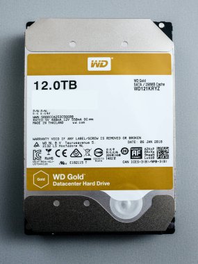 Western Digital altın Hdd disk sürücüsü 12 tb Önden Görünüm