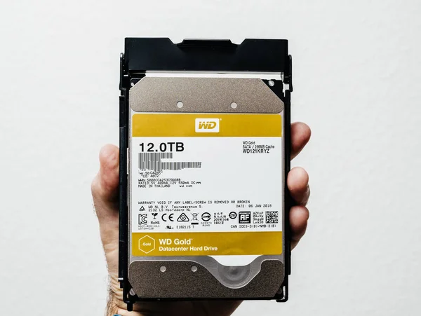 Western Digital Gold HDD disk drive 12 tb man holding — Stock Photo, Image