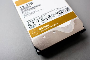 Western Digital Gold HDD disk drive 12 tb detail of clipart