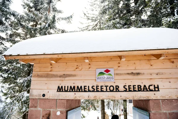 Seebach Mummelseetor kapuja télen, Németország-hegység — Stock Fotó