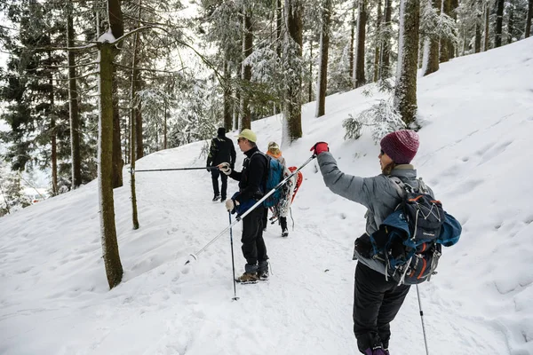 Tourists in Black Forest mountains on ski equipment — Stock Photo, Image