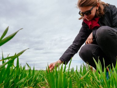 Profesyonel Ziraat Mühendisi tarım kadın biyolog buğday bitki hasat teftiş 