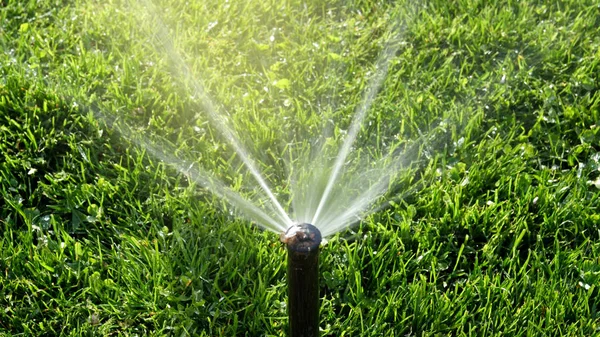 Irrigazione Prato Smart Garden Attivato Con Impianto Automatico Irrigazione Sprinkler — Foto Stock